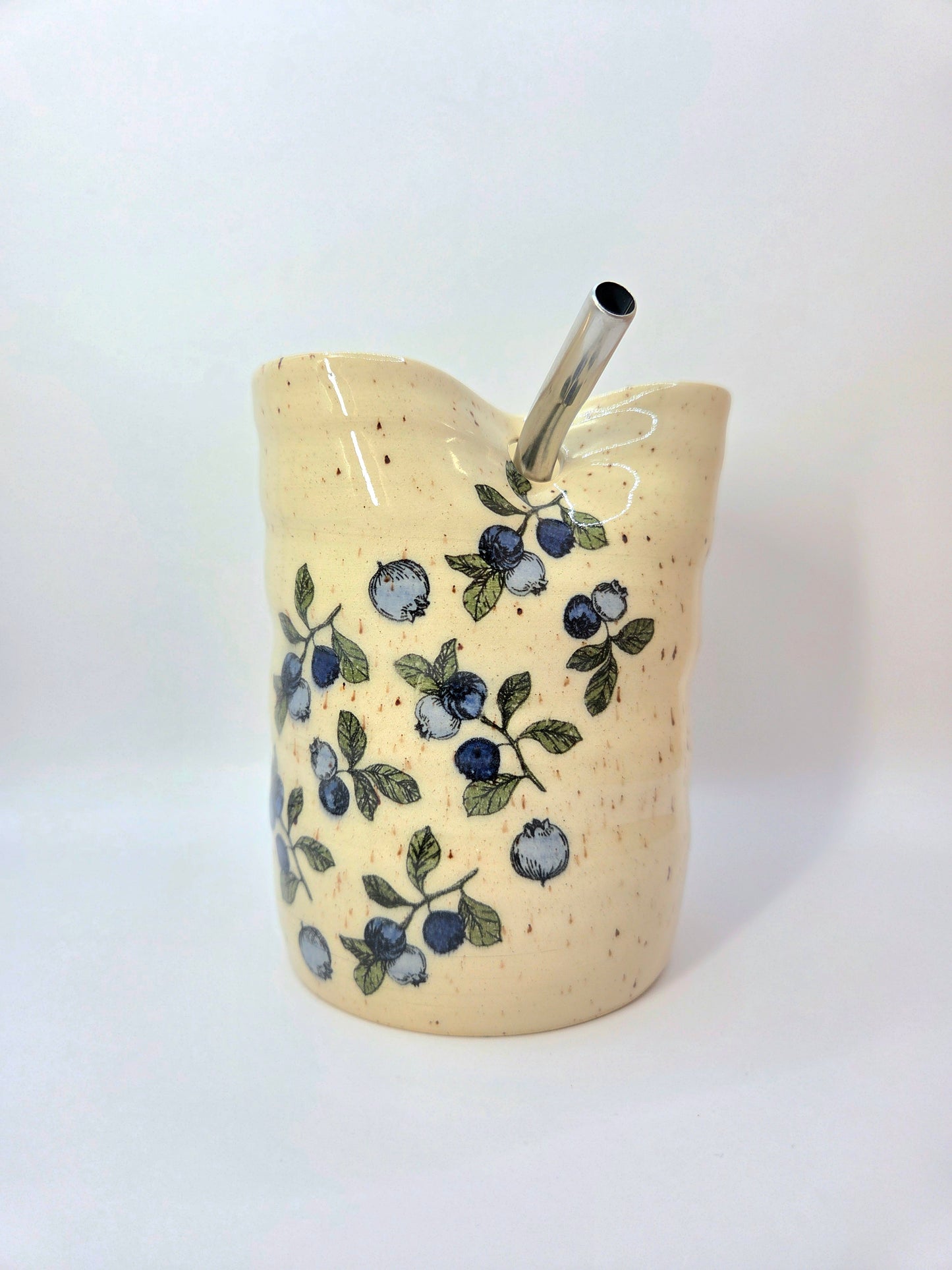 Blueberry Straw Cup